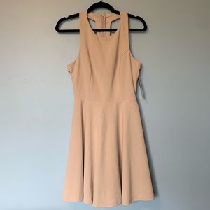 Lulus Nude Skater Dress